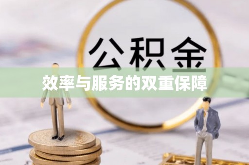 临潭效率与服务的双重保障