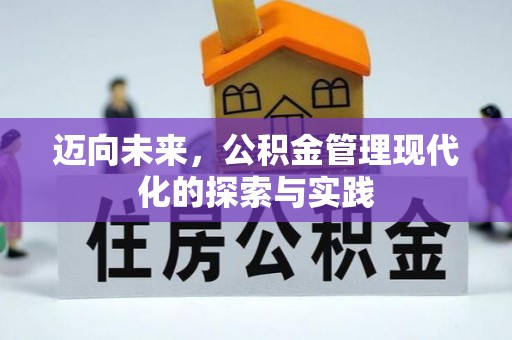 临潭迈向未来，公积金管理现代化的探索与实践