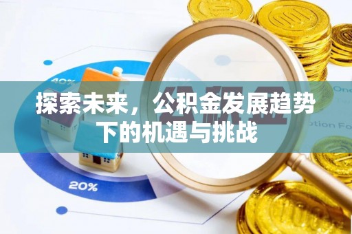 临潭探索未来，公积金发展趋势下的机遇与挑战