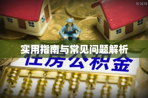 临潭实用指南与常见问题解析