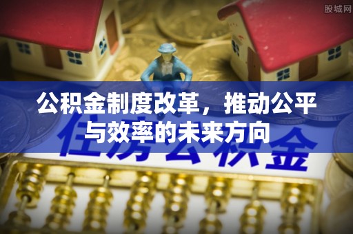 临潭公积金制度改革，推动公平与效率的未来方向