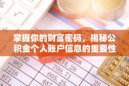 临潭掌握你的财富密码，揭秘公积金个人账户信息的重要性