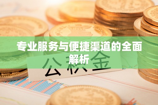 临潭专业服务与便捷渠道的全面解析