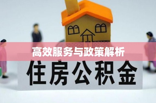 临潭高效服务与政策解析
