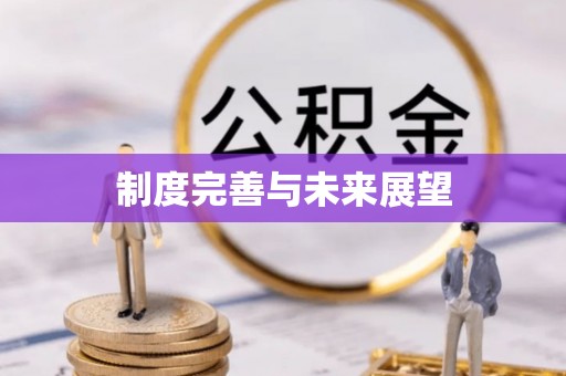 临潭制度完善与未来展望