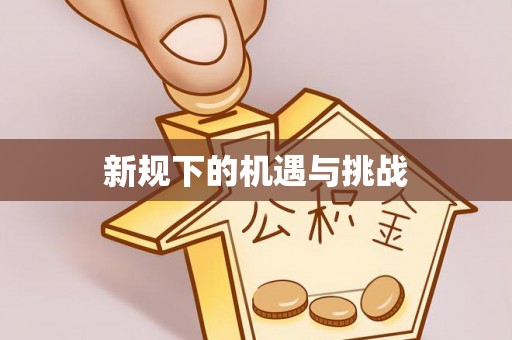 临潭新规下的机遇与挑战