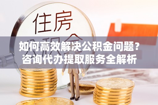 临潭如何高效解决公积金问题？咨询代办提取服务全解析