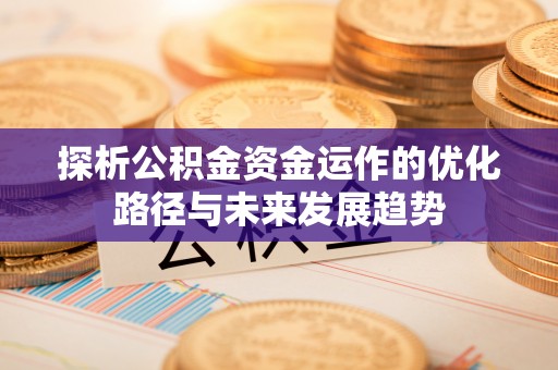 临潭探析公积金资金运作的优化路径与未来发展趋势