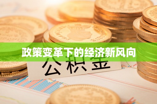 临潭政策变革下的经济新风向