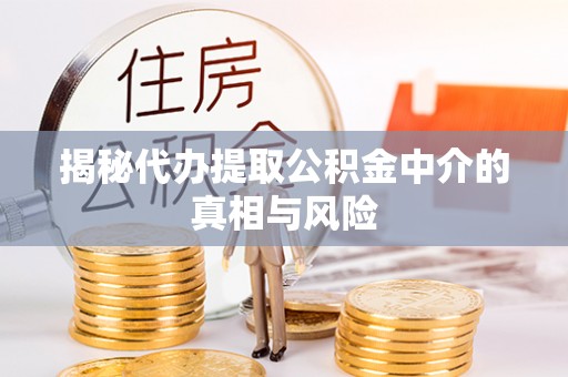 临潭揭秘代办提取公积金中介的真相与风险
