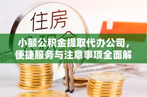 临潭小额公积金提取代办公司，便捷服务与注意事项全面解析