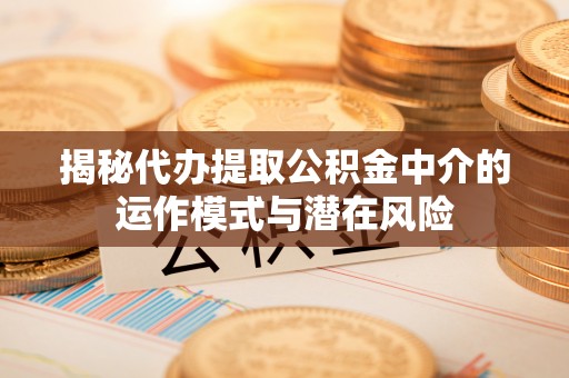 临潭揭秘代办提取公积金中介的运作模式与潜在风险