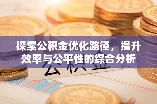 临潭探索公积金优化路径，提升效率与公平性的综合分析