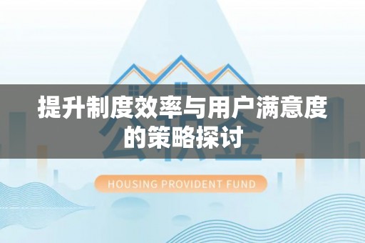 临潭提升制度效率与用户满意度的策略探讨